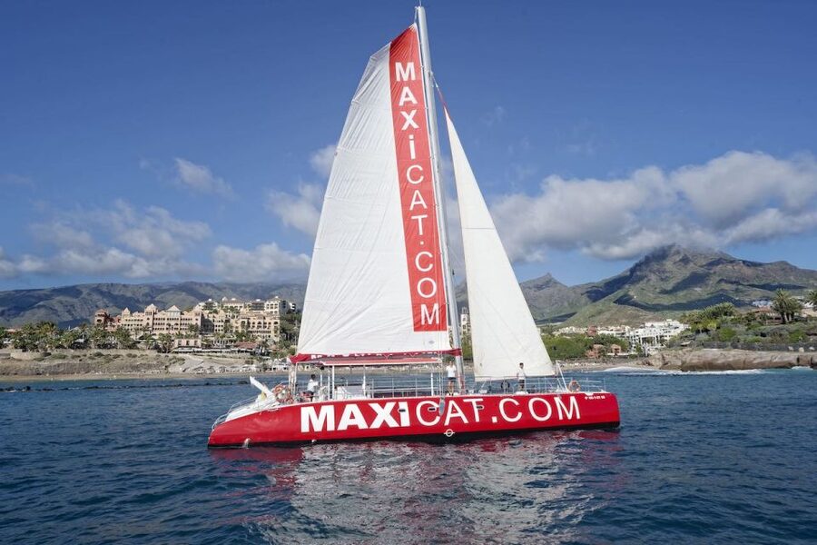 Costa Adeje: Whale and Dolphin Cruise with Food and Pickup - Lunch, sangria, and the stop at Diego Hernandez Bay