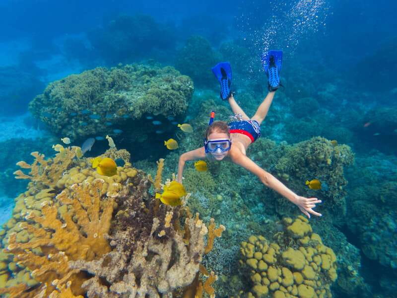 Cozumel: El Cielo, Palancar Reef, and Beach Party with Food - Why this Cozumel catamaran trip works so well