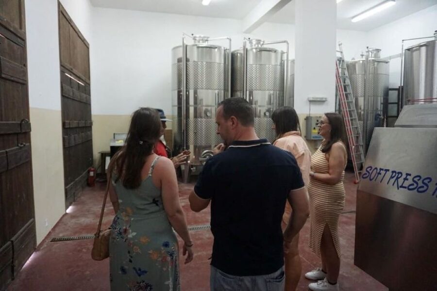Crete: Full-Day Cretan Wines, Olive Oil, Raki and Food Tour - Who should book this day