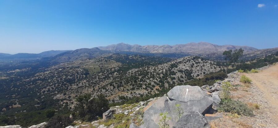 Crete: Olive, Wine, & Raki on a Flavorful Culinary Journey - Archanes adds village views and a slower final stop