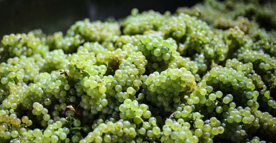 Crete: Olive, Wine, & Raki on a Flavorful Culinary Journey - Is $126 a fair price?