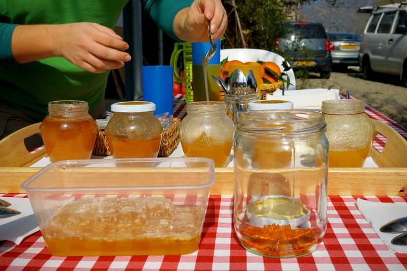 Cyprus: Troodos Mountain Food & Wine Tasting Tour with Lunch - Transport and timing: what to expect