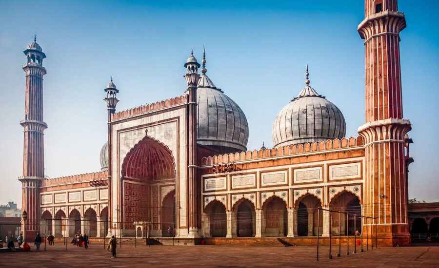 Delhi: Old Delhi City Tour with Tuk-Tuk Ride & Street Food - Red Fort, with an important booking warning
