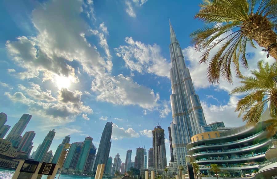 Dubai: City Highlights Tour with Blue Mosque & Street Food - Guides, drivers, and the quality of the day