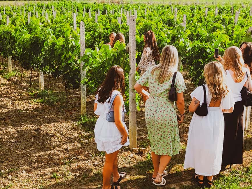 Durres Countryside Vineyards Wine Tasting & Food Pairing - A four-hour escape from the Durres coast