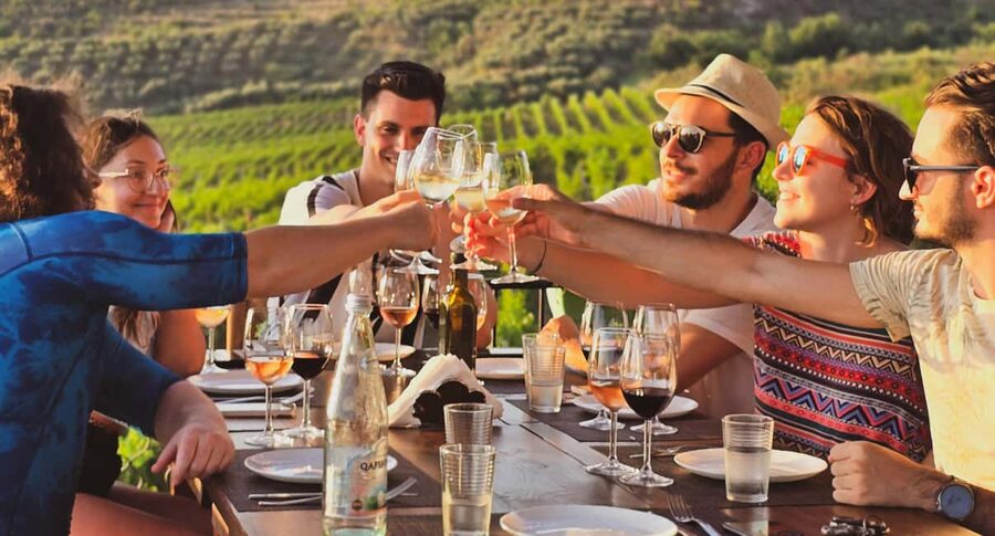 Durres Countryside Vineyards Wine Tasting & Food Pairing - Walking among the vines