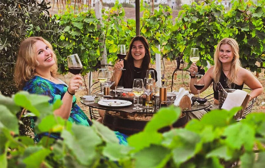Durres Countryside Vineyards Wine Tasting & Food Pairing - The drive into the vineyard country
