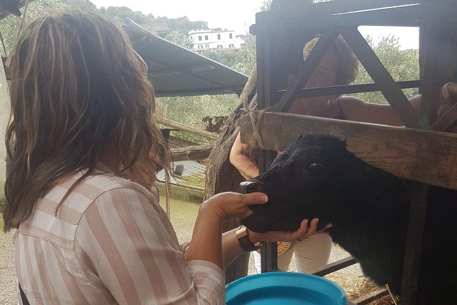 E-Bike Food and Wine Tour in the Sorrento Peninsula - Schiazzano and the family farm visit