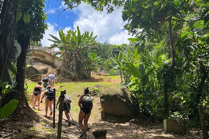 El Yunque Waterslide and Waterfall Tour with Food and Photos - The real draw: a natural waterslide in El Yunque