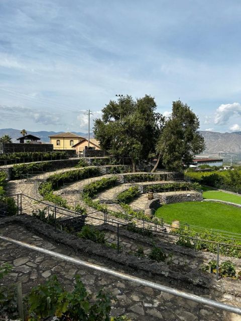 Etna: Wine Tasting and Food Tour - Why Etna wine tastes different