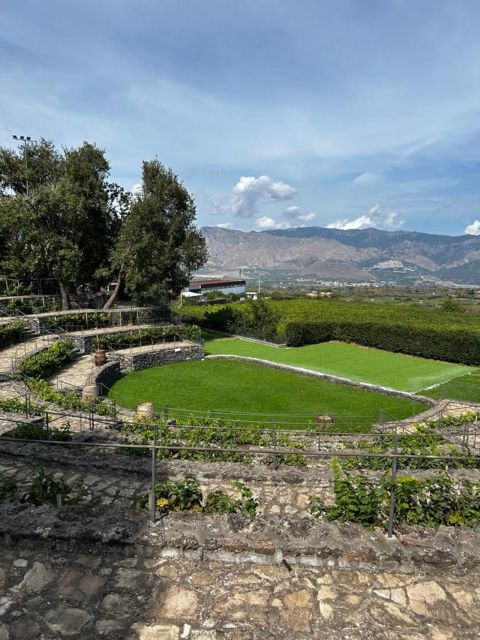 Etna: Wine Tasting and Food Tour - Price, timing, and what the $129.14 covers