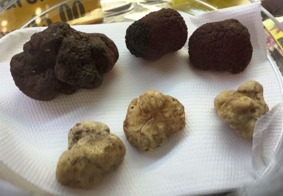 Florence: Guided Food Tour with Fiorentina Steak and Wine - Is $70 a good value?