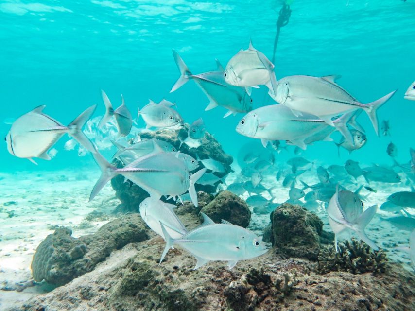 From Ao Nang: Similan Islands Boat Trip with Transfer & Food - Lunch and the best chance to slow down