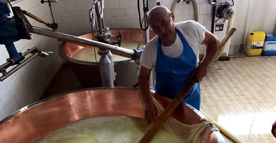 From Bologna: Emilia Excellence Food Tour - Key points to know before booking