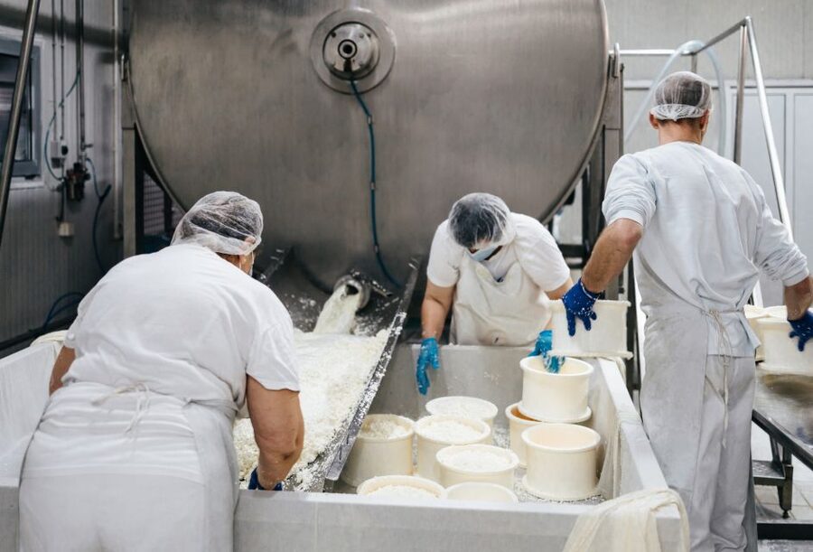 From Bologna: Emilia Excellence Food Tour - Three Emilian products in one day