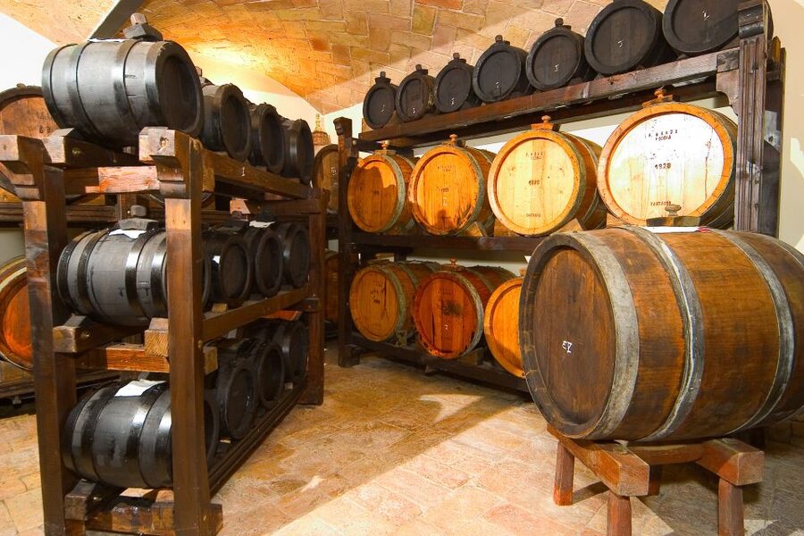 From Bologna: Emilia Excellence Food Tour - Who will enjoy this day most?