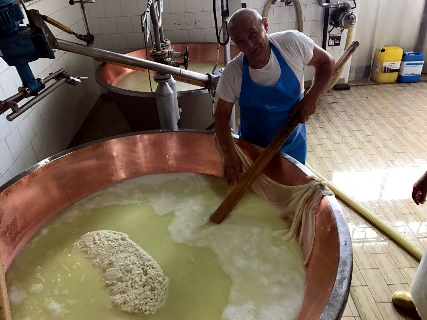 From Bologna: Emilia Excellence Food Tour - Seeing how Parmigiano Reggiano is made