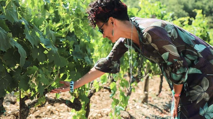 From Florence: Chianti Tour with Two Wine and Food Tastings - Key points to know before booking