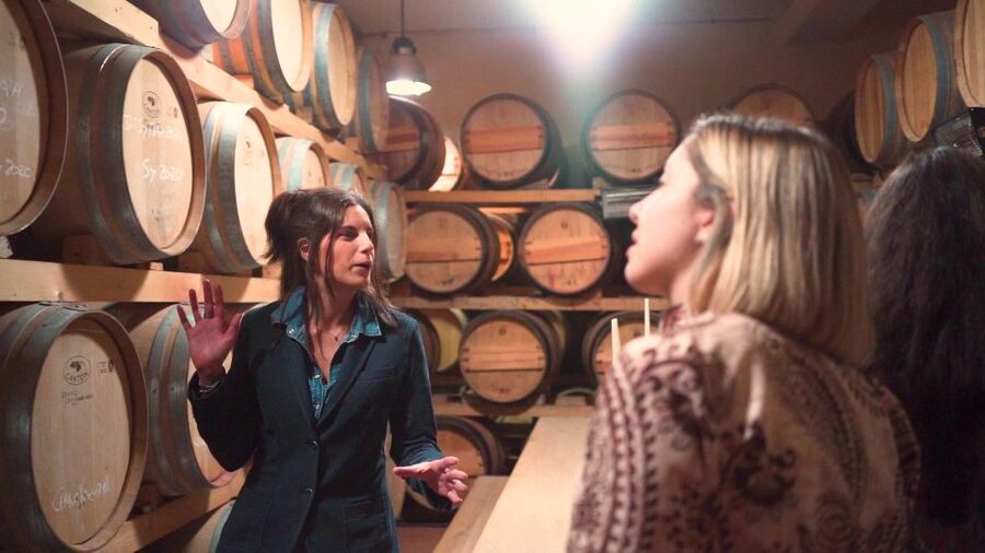 From Florence: Chianti Tour with Two Wine and Food Tastings - What the wine tasting is really like