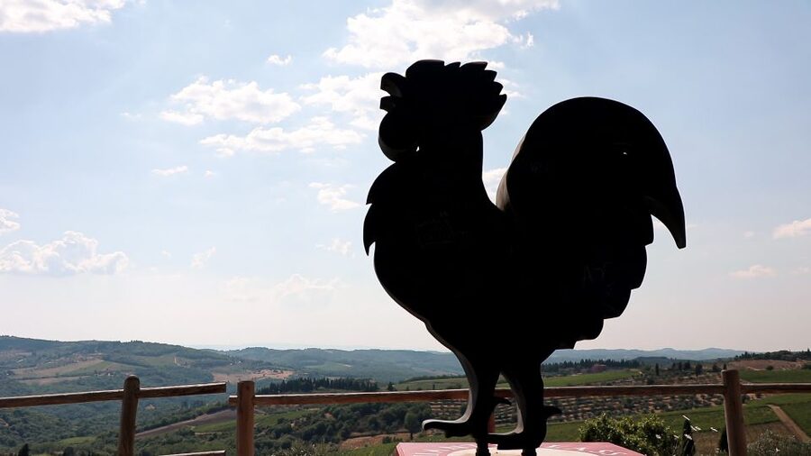 From Florence: Chianti Tour with Two Wine and Food Tastings - The guide can make or break the road time