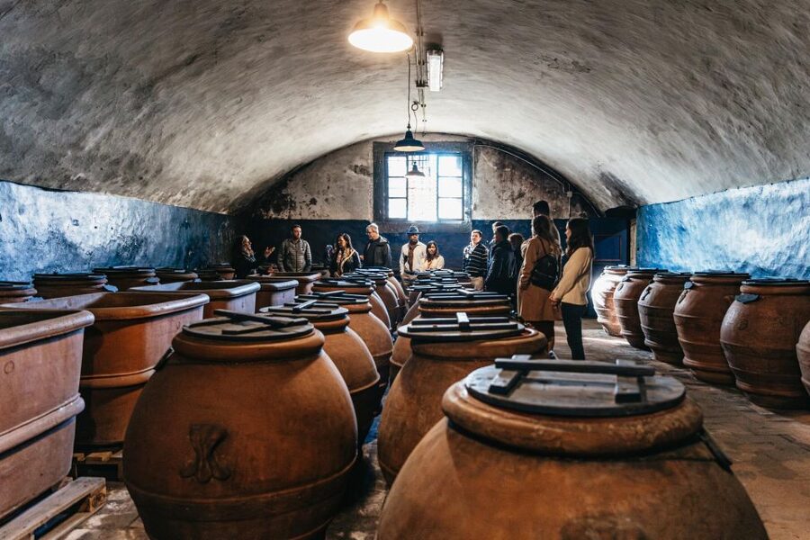 From Florence: Chianti Wine and Food Tasting Safari - Leaving Florence for the Chianti hills