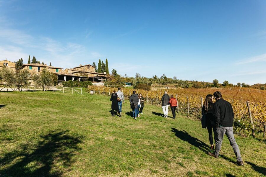 From Florence: Chianti Wine and Food Tasting Safari - A traditional Tuscan lunch with hill views