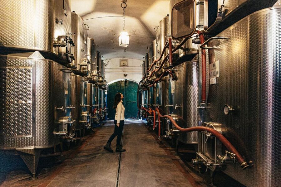 From Florence: Chianti Wine and Food Tasting Safari - The second estate and Chianti Classico