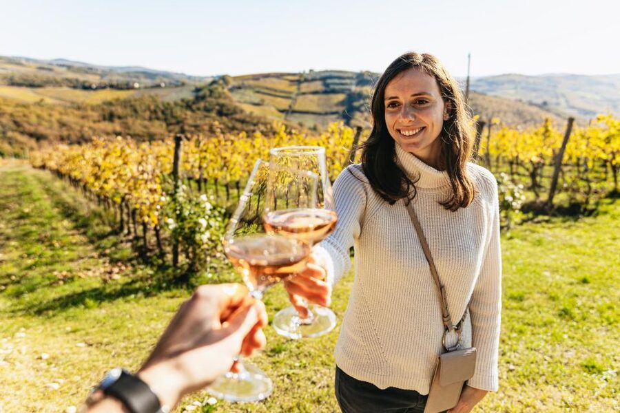 From Florence: Chianti Wine and Food Tasting Safari - What eight wines and olive oil mean for value