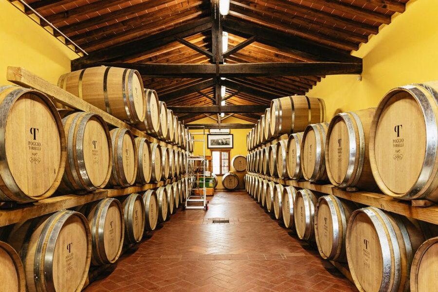 From Florence: Chianti Wine and Food Tasting Safari - Who should book this Chianti safari