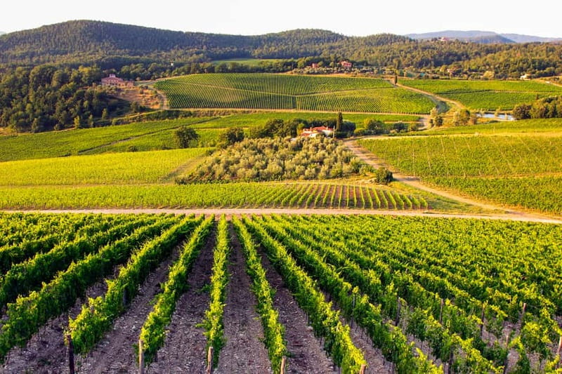 From Florence: Tuscany Wine & Food Tour with Guide - The guide can shape the whole day