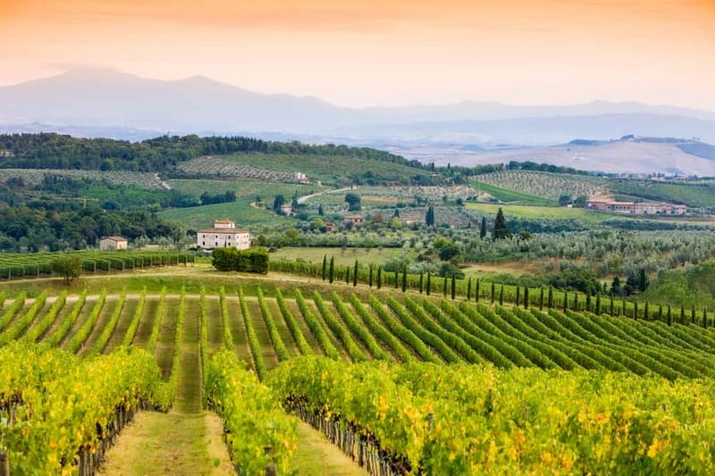 From Florence: Tuscany Wine & Food Tour with Guide - What the tastings are really like