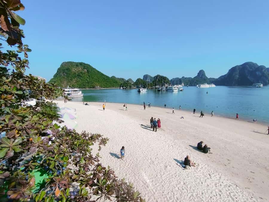 From Hanoi: Ha Long Bay Luxury Day Cruise with Food & Kayak - Luon Cave by kayak or bamboo boat