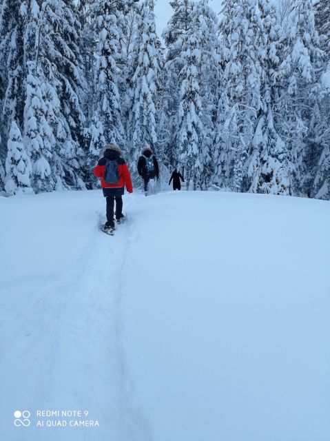 From Helsinki: Nuuksio National Park Hiking Tour with Food - Winter in Nuuksio: snow, frozen lakes, and glögi