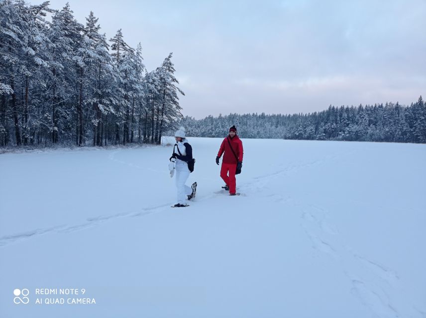 From Helsinki: Nuuksio National Park Hiking Tour with Food - Walking through the Finnish taiga