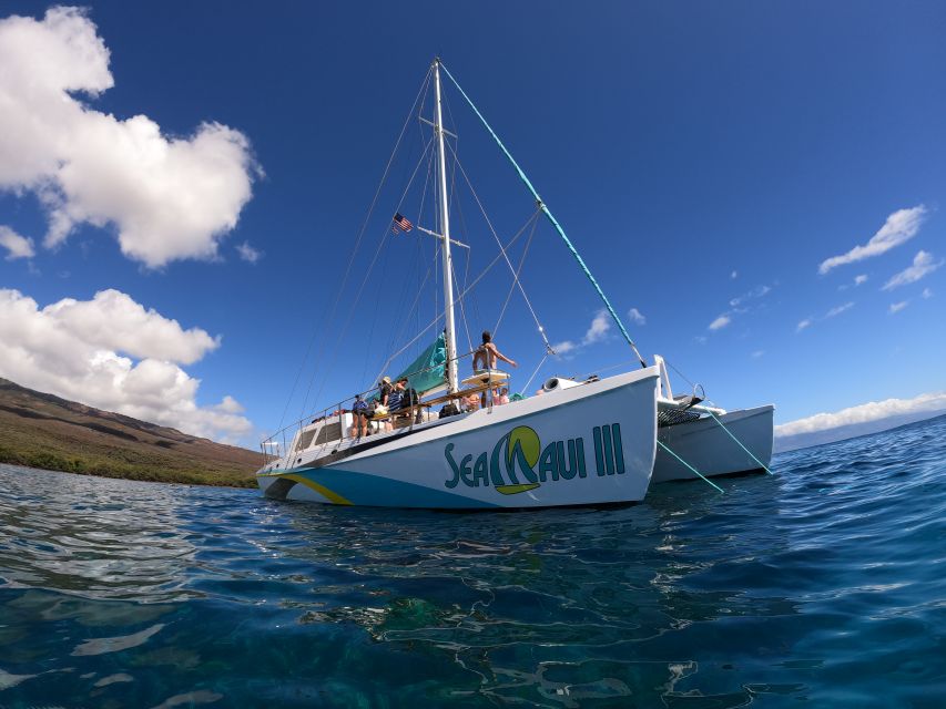 From Ka'anapali: West Maui Half-Day Snorkel Tour w/ Food - How the Captain Chooses the Snorkel Sites