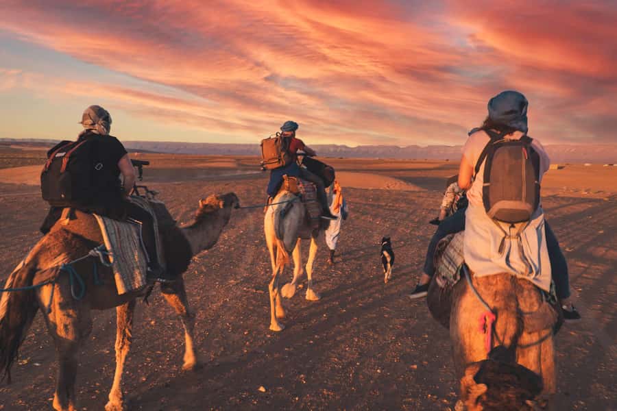 From Marrakech: Zagora 2-Day Desert Safari with Food & Camp - From Marrakech to the High Atlas