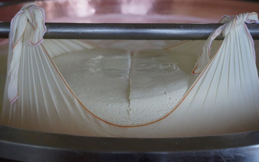 From Parma: Parmigiano and Parma Ham Guided Food Tour - Inside a traditional Parmigiano Reggiano caseificio