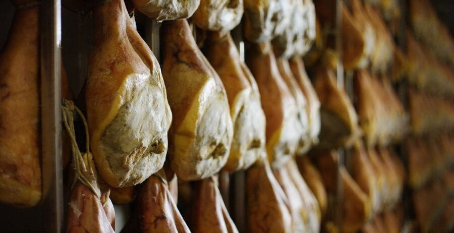 From Parma: Parmigiano and Parma Ham Guided Food Tour - Who will get the most from this tour