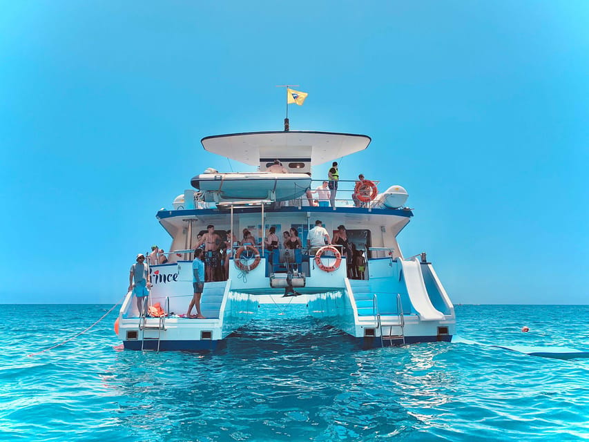 From Puerto Rico: Boat trip along the coast w/ Food & Drinks - Wildlife sightings: enjoy the possibility, not the promise