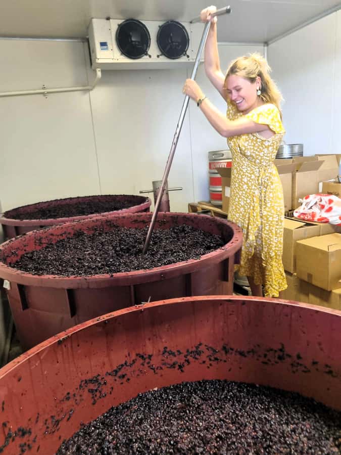 From Sydney: Hunter Valley Wine, Gin & Food Tastings Tour - Key things to know before booking