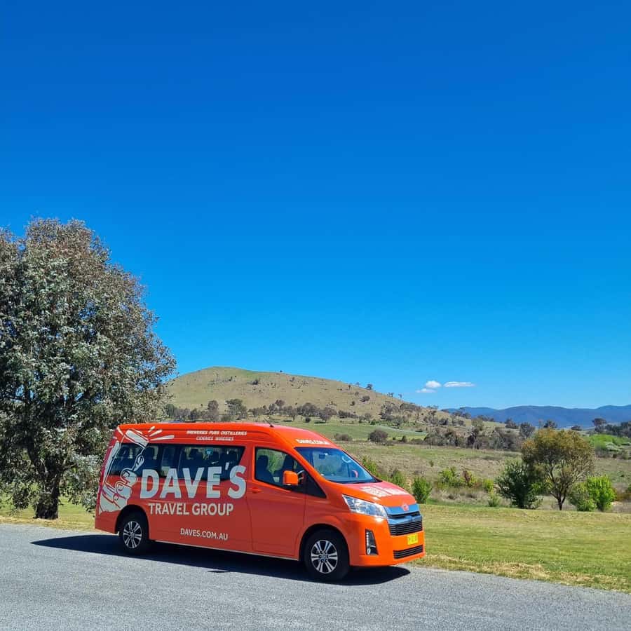 From Sydney: Hunter Valley Wine, Gin & Food Tastings Tour - What the $159 price really covers