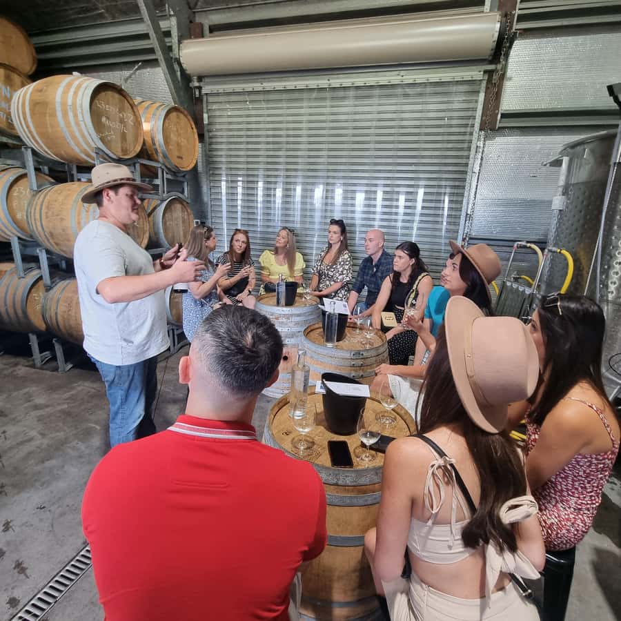 From Sydney: Hunter Valley Wine, Gin & Food Tastings Tour - Why this Hunter Valley day trip works from Sydney