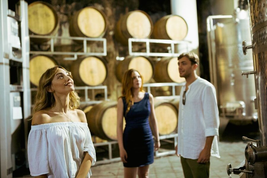 From Taormina: Mount Etna Food and Wine Tasting Tour - Should you book it?