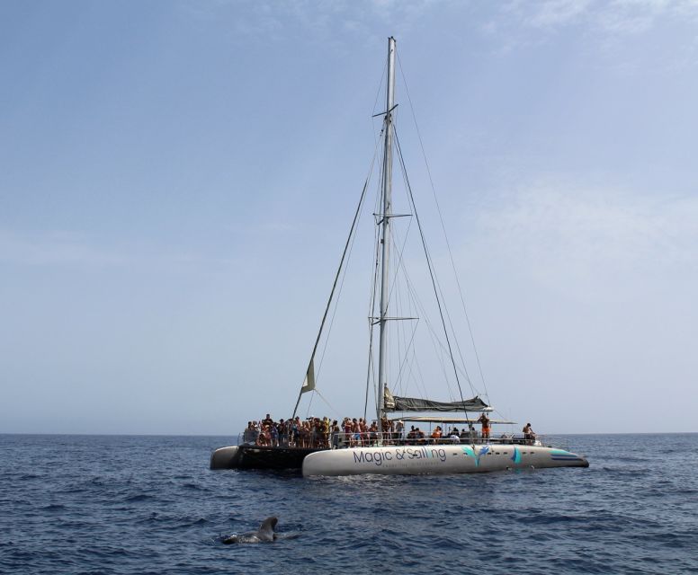 Fuerteventura: Magic Catamaran Trip with Food and Drinks - Should You Book the Magic Catamaran?