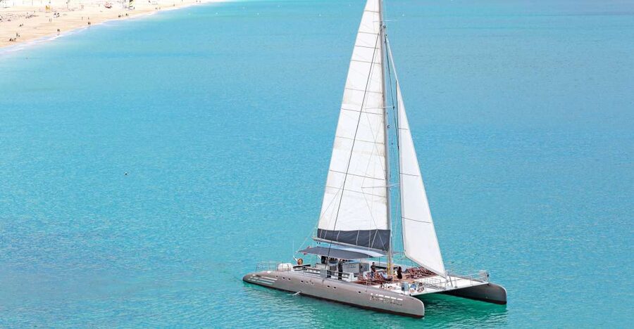 Fuerteventura: Magic Catamaran Trip with Food and Drinks - Watching for Dolphins and Pilot Whales
