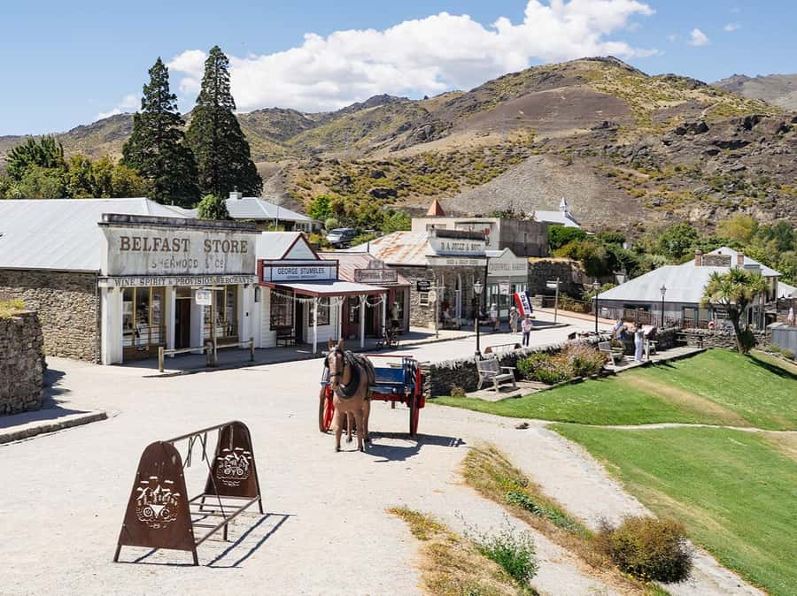 Gourmet Food and Wine Tour with Lunch and Wine Tastings - What the $196 Price Covers