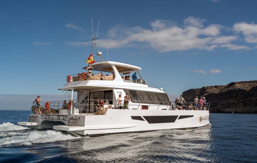 Gran Canaria: Afternoon Catamaran Cruise with Food & Drink - Who should book the Afrikat cruise?