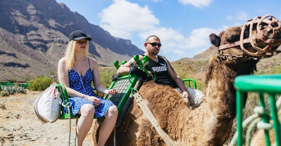 Gran Canaria: Camel Ride Safari w/ Optional Food & Transport - A mountain drive from Maspalomas to Fataga