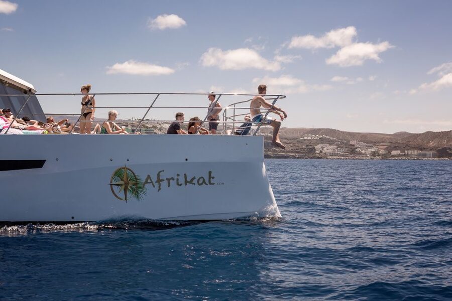 Gran Canaria: Fun Catamaran Cruise with Food and Drinks - How much value do you get for $88?