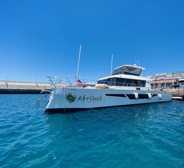 Gran Canaria: Fun Catamaran Cruise with Food and Drinks - Who will enjoy this cruise most?